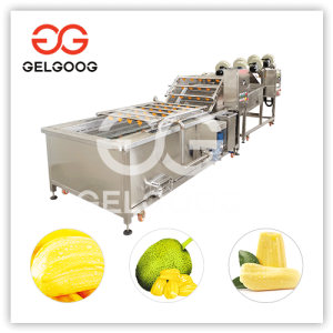 jackfruit processing industry