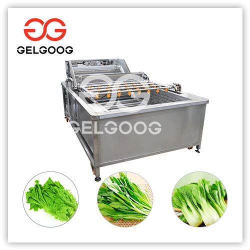 leafy vegetable washing machine price