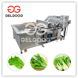 vegetable cleaner machine price