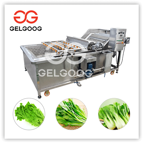 vegetable cleaner machine price