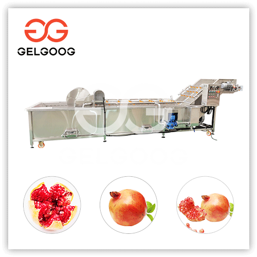 pomegranate processing plant