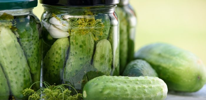 How To Clean Cucumbers For Processing Cucumber Pickles？