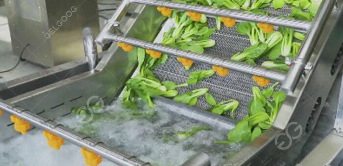 ¿El Lavado De Vegetales Realmente Funciona Con Equipos De Limpieza De Vegetales?
