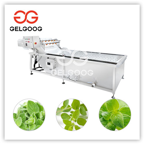 Máquina para limpiar orégano