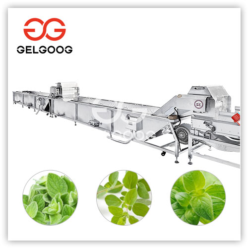 Lavadora de orégano Lavadora de orégano