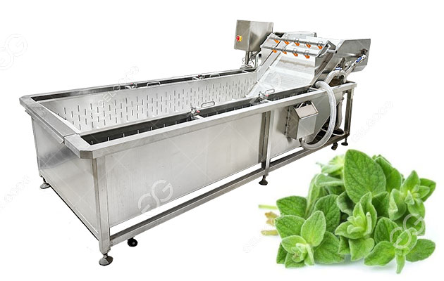 lavadora de orégano