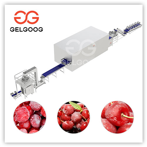 Línea de procesamiento de cerezas IQF en venta