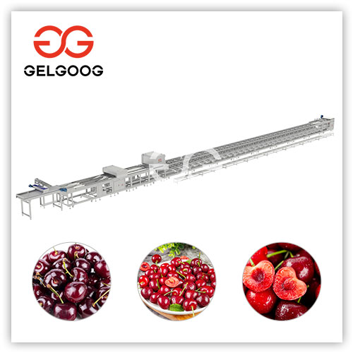 Línea de lavado y clasificación de cerezas