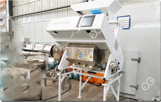 Máquina clasificadora de ajo por color