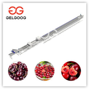 planta procesadora de cerezas