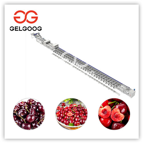 línea de clasificación de cerezas línea de clasificación de cerezas