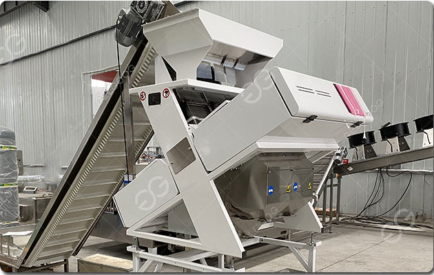 Precio de la máquina clasificadora de ajo por color