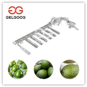 Máquina-Clasificadora-De-Aguacates-Por-Peso