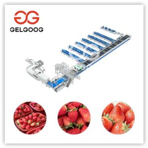 máquina clasificadora de fresas
