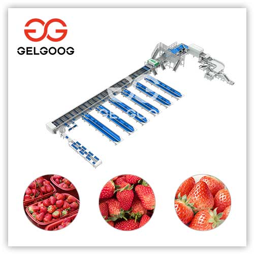 máquina para clasificar fresas